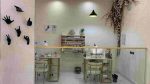hotel excelsior kish